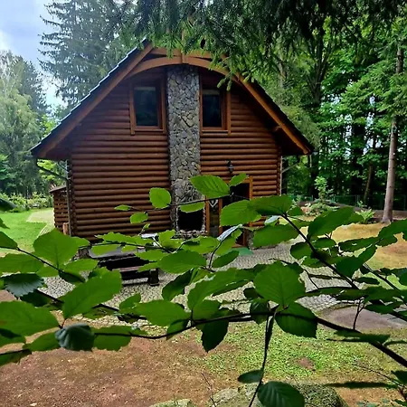 Feriehus Letniskowy Lesna Chata